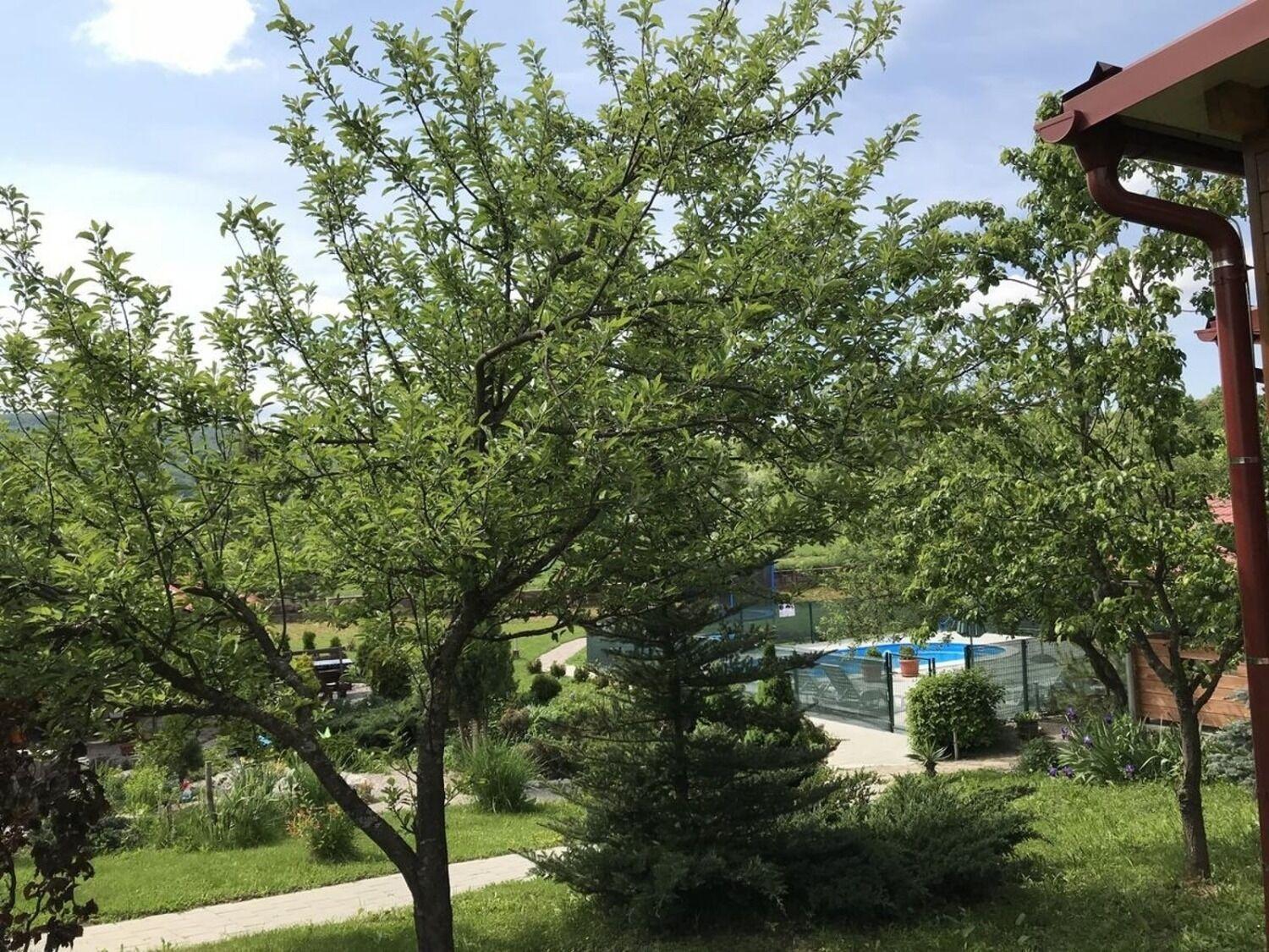 Apartments San - With Pool; Раковица Экстерьер фото